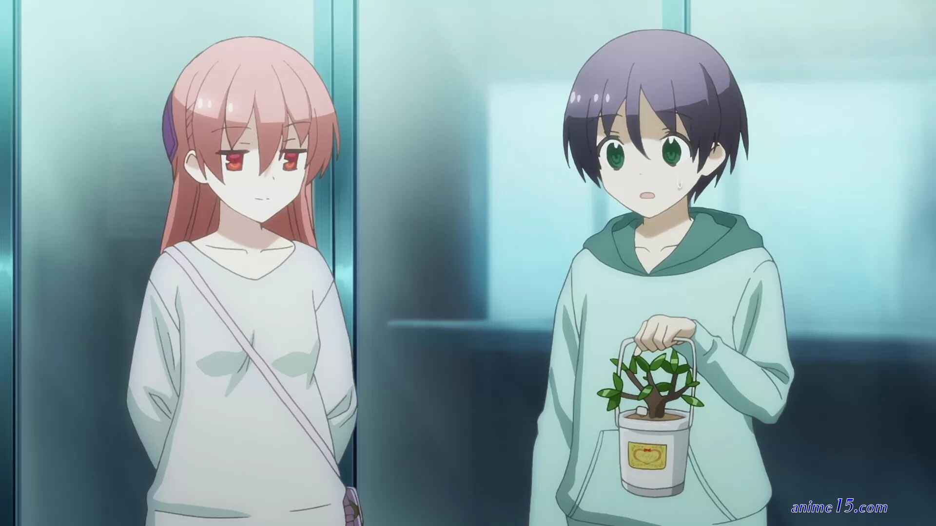 tonikaku kawaii dublado todos os episódios