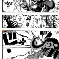 one piece 1011 vostfr