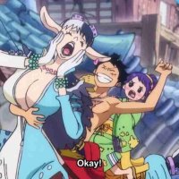 one piece 1011 vostfr
