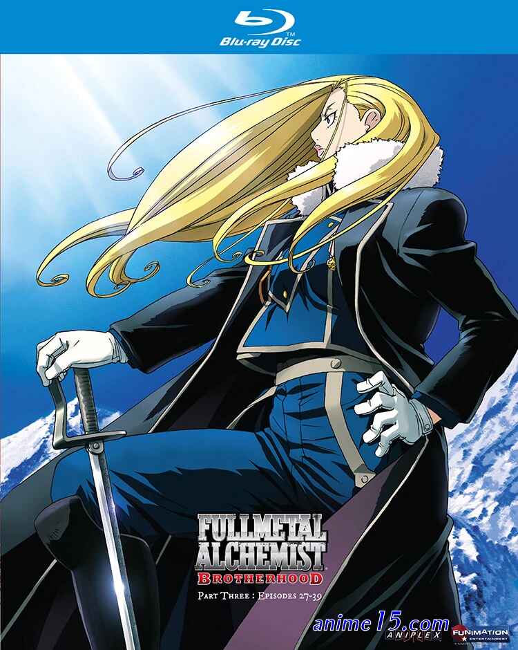 voiranime full metal brother wood