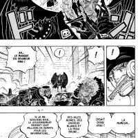 one piece 1011 vostfr