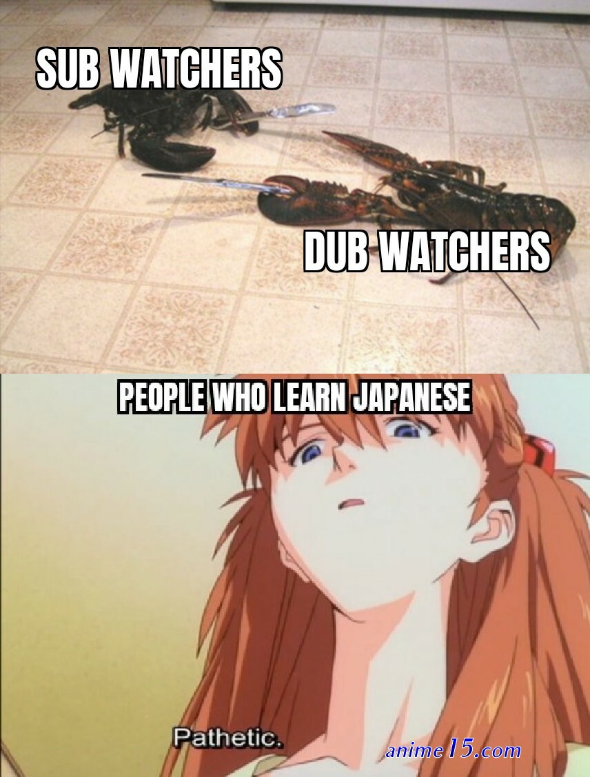 cortoon anime dub