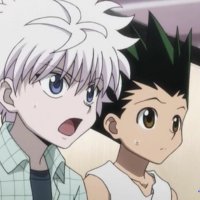 hunter hunter gogoanime