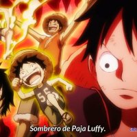 tioanime onepiece