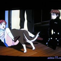 anime with vagina scenes