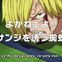 one piece 989 vostfr