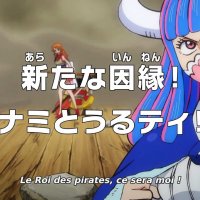 one piece 989 vostfr