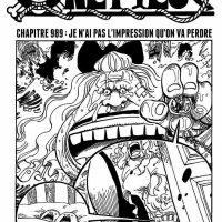 one piece 989 vostfr