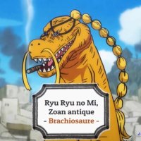 one piece 989 vostfr