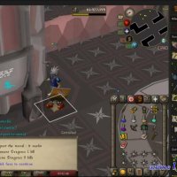 dragon poor 277