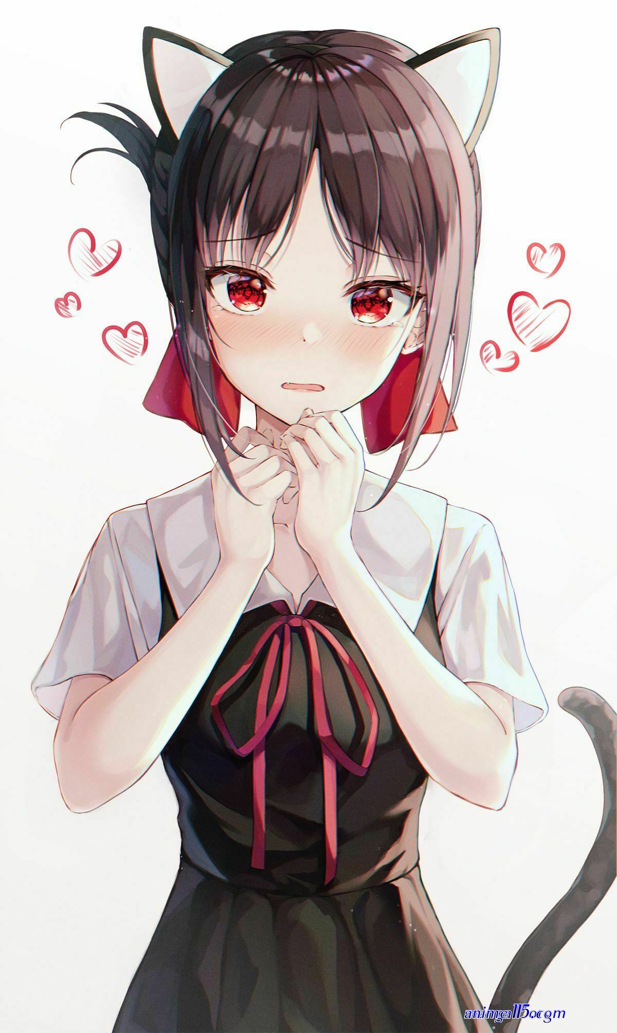 neko sama black-clover