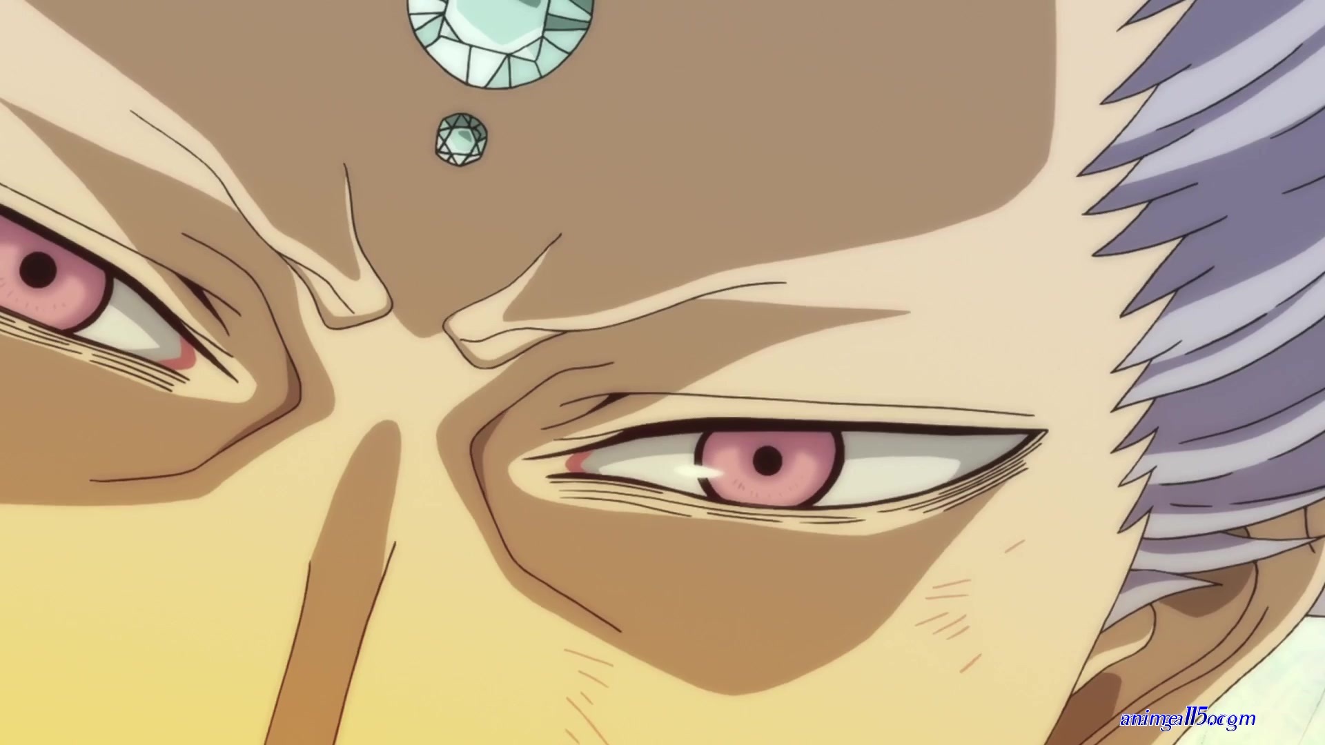 neko sama black-clover