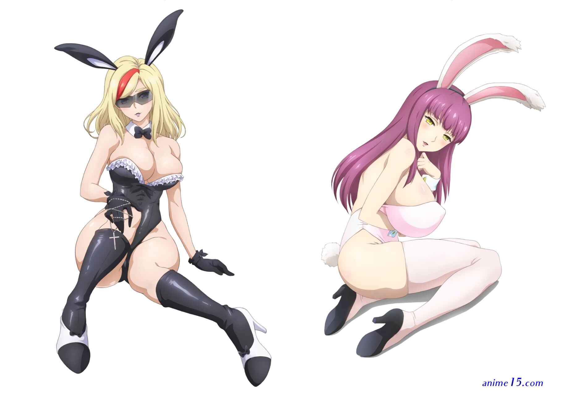 valkyrie drive vostfr