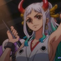 one piece 393 animeflv