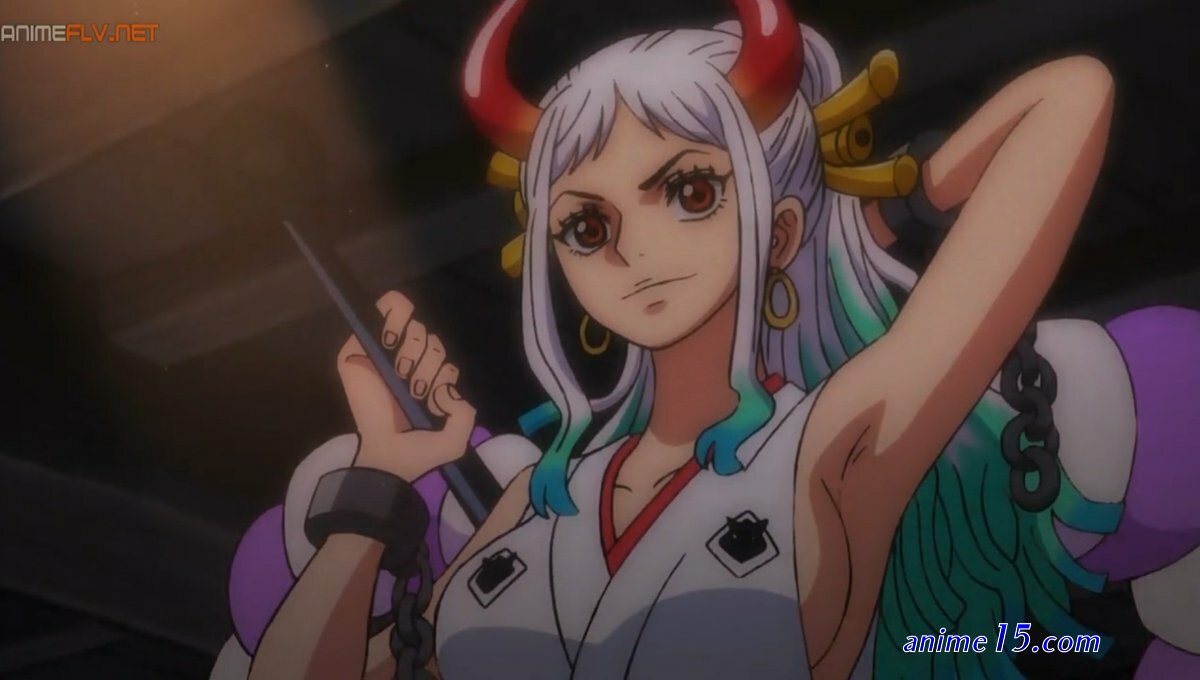 one piece 393 animeflv