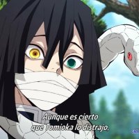 one piece 393 animeflv
