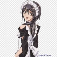 anim-ssama