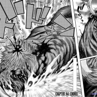 toriko voiranime