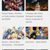 demon slayer saison2 voiranime