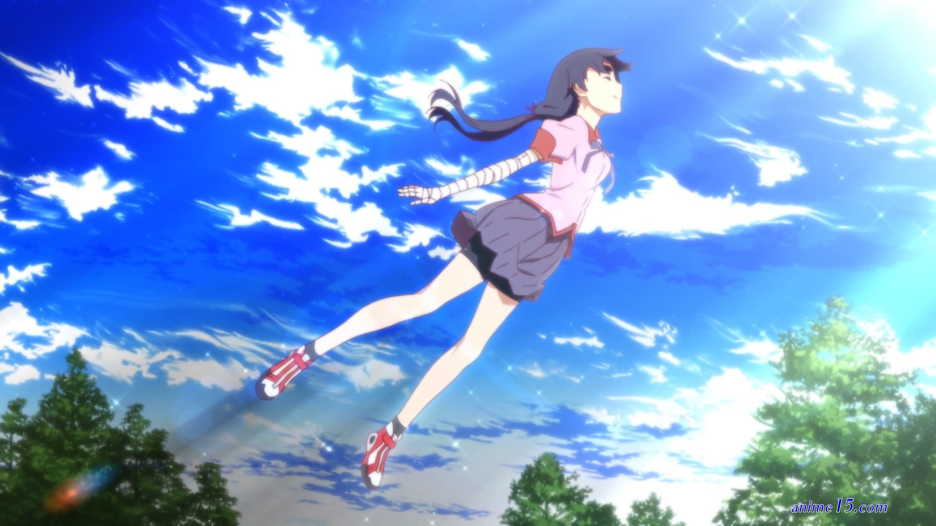 gogo anime bakemonoga