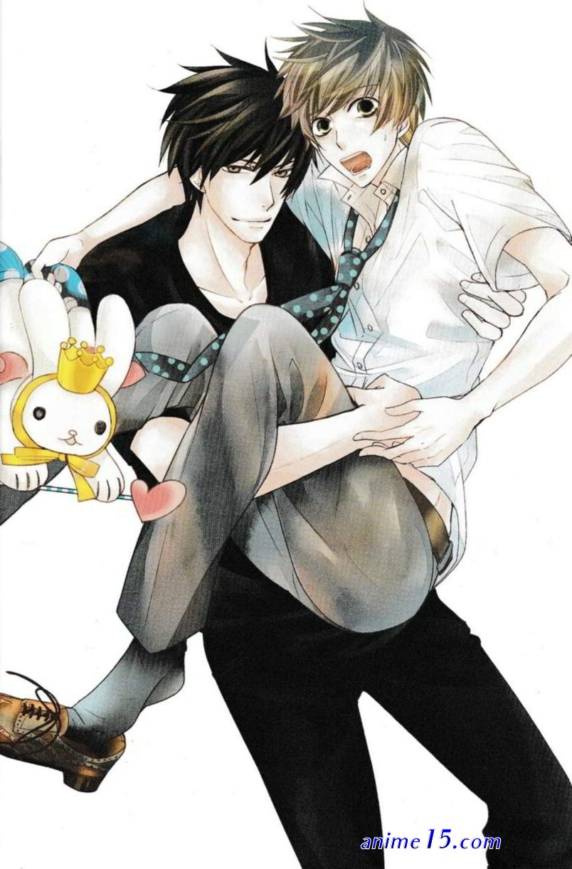 sekaiichi hatsukoi movie vostfr