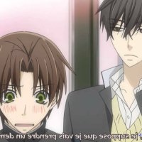 sekaiichi hatsukoi movie vostfr