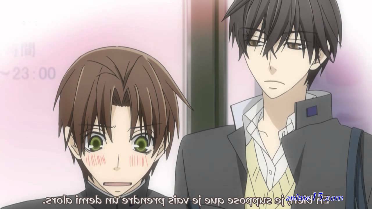 sekaiichi hatsukoi movie vostfr