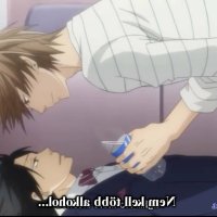 sekaiichi hatsukoi movie vostfr