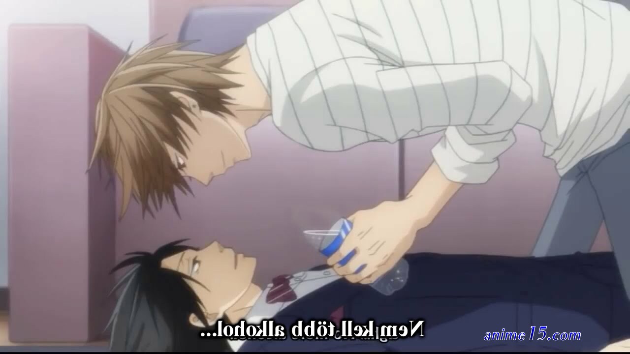 sekaiichi hatsukoi movie vostfr