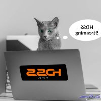 hdss streaming
