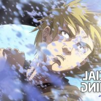 rising of sheild hero gogoanime