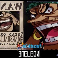 one piece 917 sub en español
