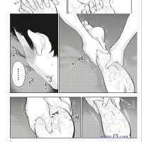 gaishuu isshoku raw 38