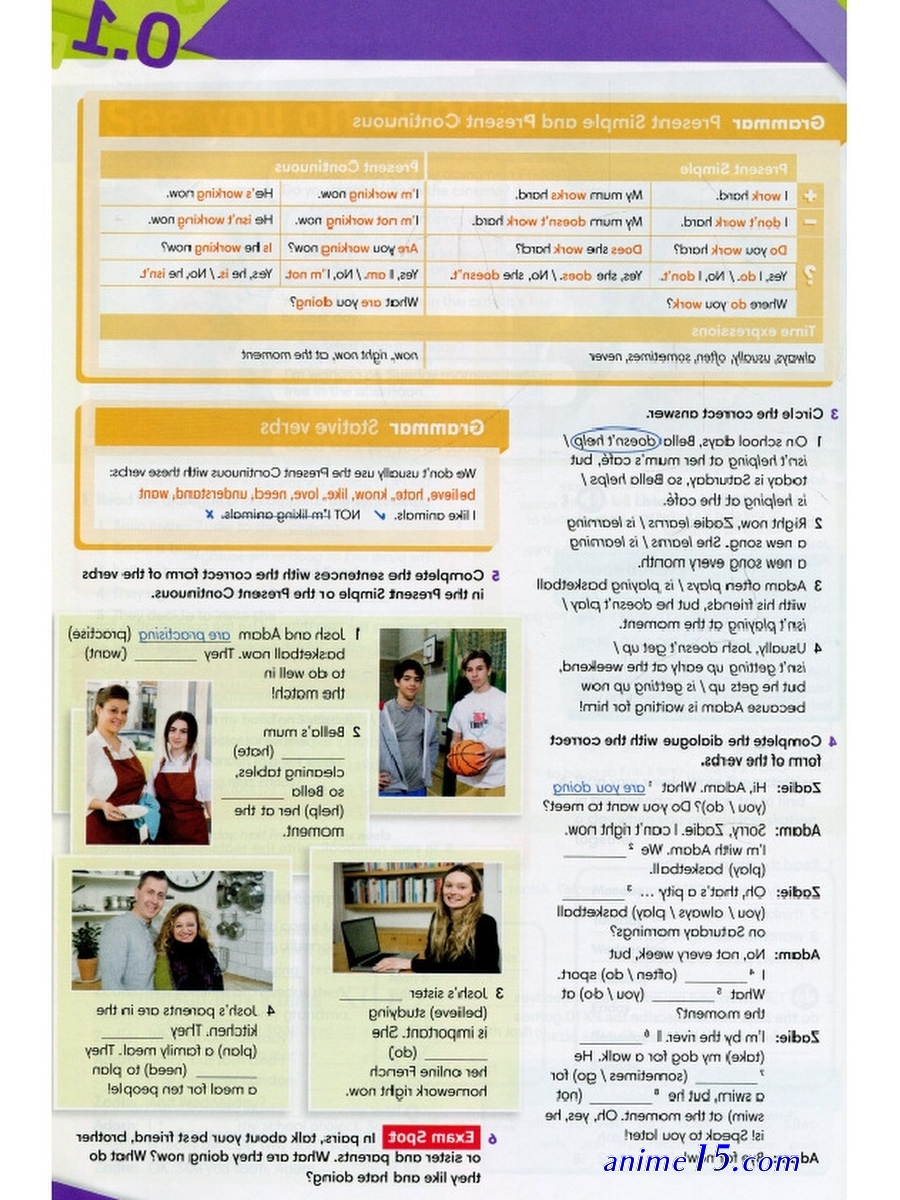 dojing.net