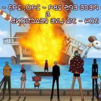 one piece ep 290