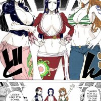 one piece comics porn