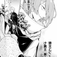 read light novel last boss yamete miya