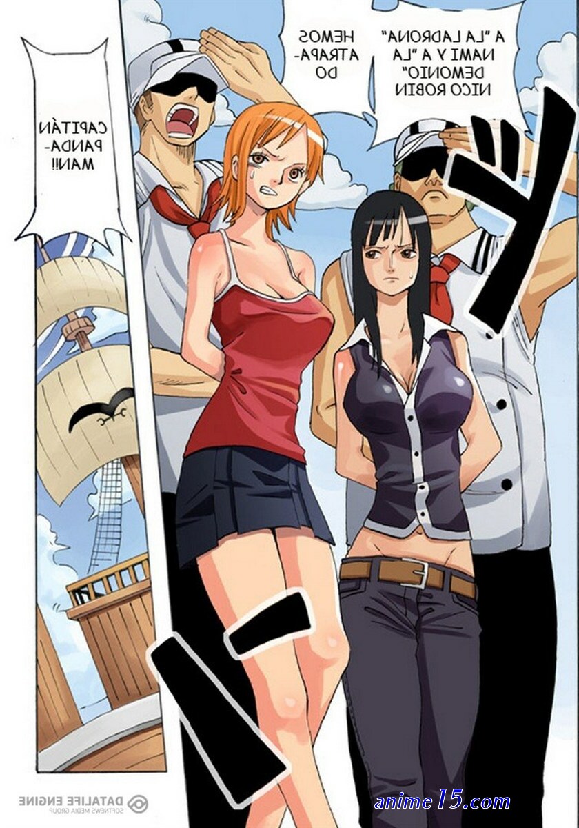 one piece comics porn