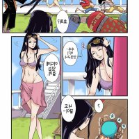 one piece comics porn