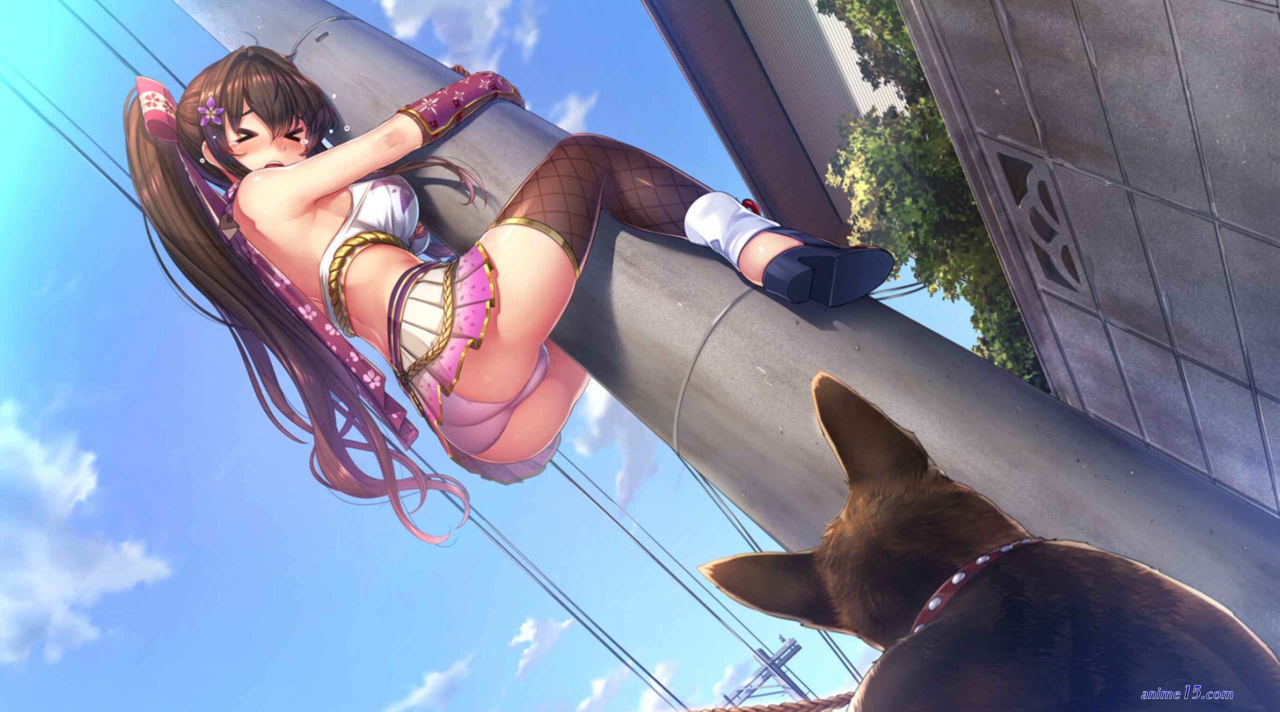 hentai upskirt panties pics