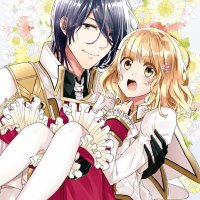 seijo no hazu ga novel