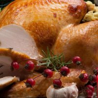 anme turkey girl sexy eat me