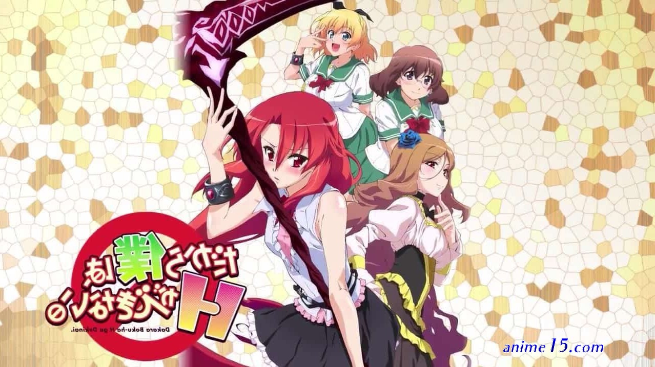 dakara boku h ga dekinai sub indo