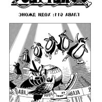 one piece 611