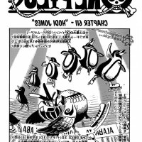 one piece 611