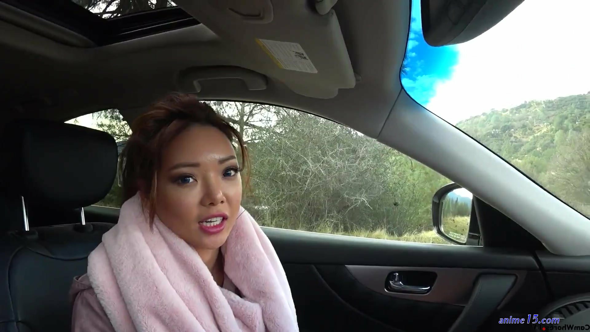 anime fuck in car