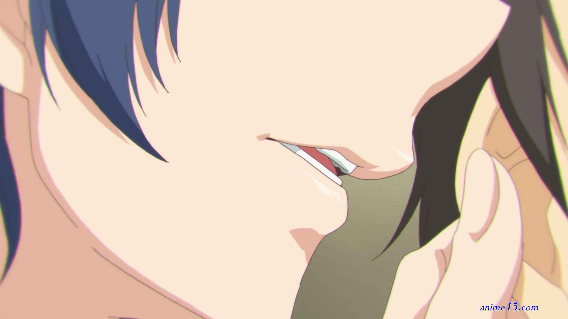 domestic na kanojo no sensor
