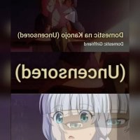 domestic na kanojo no sensor