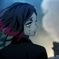 demon slayer saison 2 vf streaming