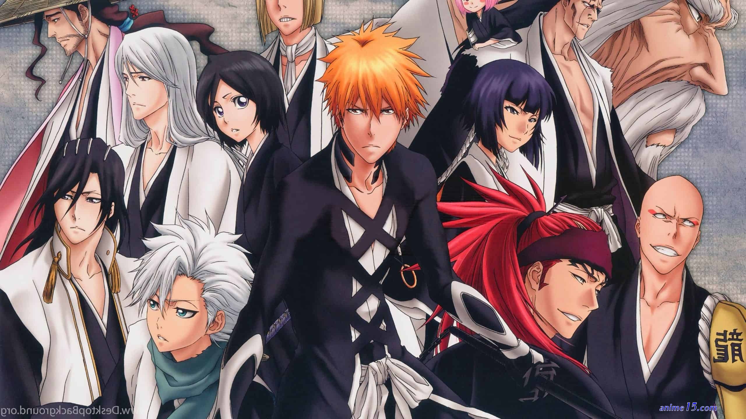 bleach english dub gogoanime